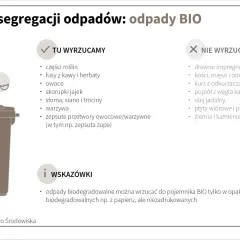 Zasady segregacji odpadów BIO: wyrzucamy resztki roślin, fusy, owoce, skorupki jaj. Wskazówka: odpady biodegradowalne można wyrzucać w workach papierowych.