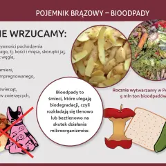 Co wrzucamy do brązowego pojemnika? Resztki jedzenia, obierki, warzywa, owoce. Unikaj popiołu, ziemi, tkanin.