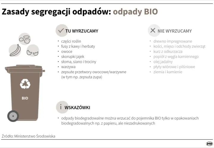 Zasady segregacji odpadów BIO: wyrzucamy resztki roślin, fusy, owoce, skorupki jaj. Wskazówka: odpady biodegradowalne można wyrzucać w workach papierowych.