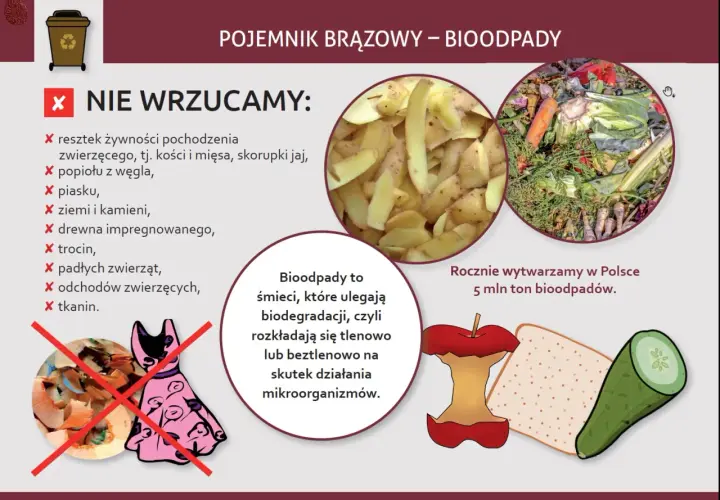 Co wrzucamy do brązowego pojemnika? Resztki jedzenia, obierki, warzywa, owoce. Unikaj popiołu, ziemi, tkanin.