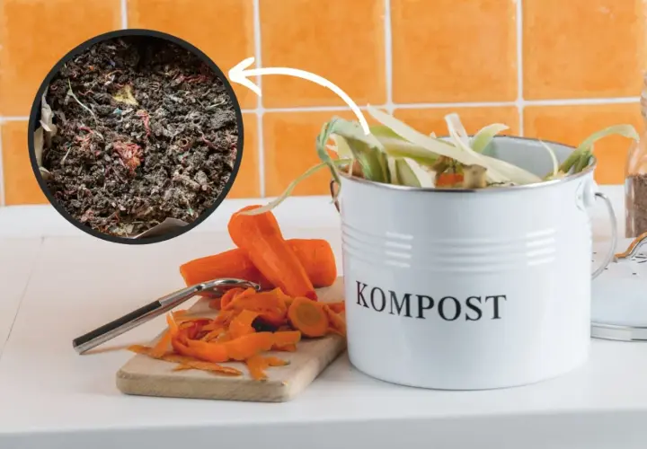 Biały kompostownik do kuchni z napisem "KOMPOST" wypełniony resztkami warzyw. Obok marchewki i obieraczka. W kółku widać robaki kompostowe.