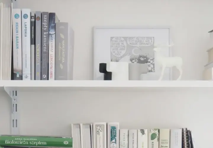 Kreatywne pomysły na regał na książki DIY, które zaoszczędzą miejsce