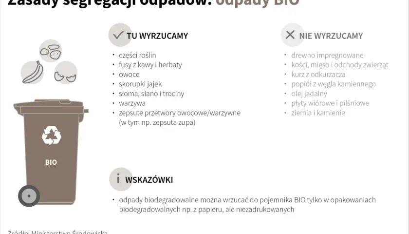Zasady segregacji odpadów BIO: wyrzucamy resztki roślin, fusy, owoce, skorupki jaj. Wskazówka: odpady biodegradowalne można wyrzucać w workach papierowych.