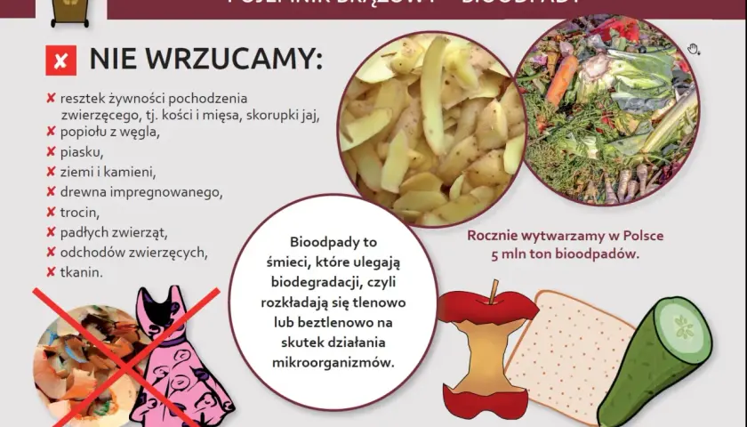 Co wrzucamy do brązowego pojemnika? Resztki jedzenia, obierki, warzywa, owoce. Unikaj popiołu, ziemi, tkanin.