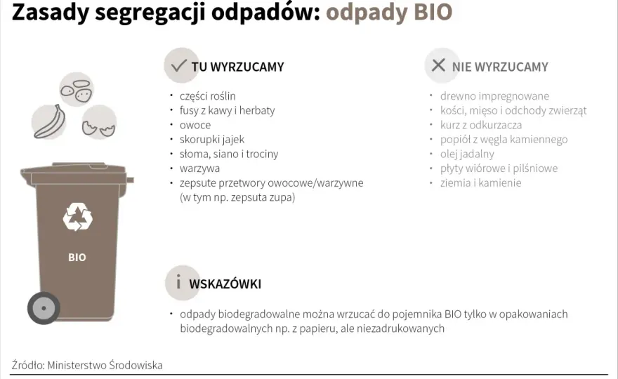 Czy odpady BIO w workach - Jak segregować poprawnie i bez kar