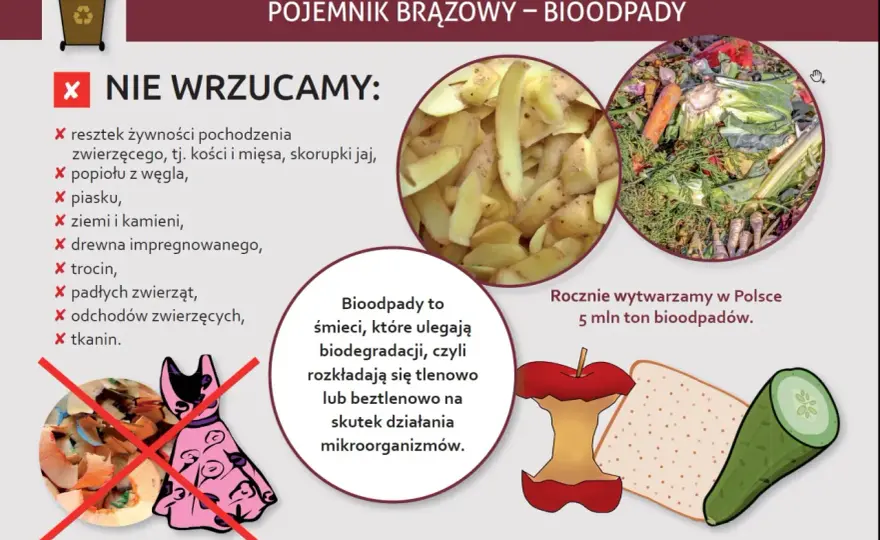Brązowy pojemnik - Co wrzucać, a czego unikać w odpadach BIO?