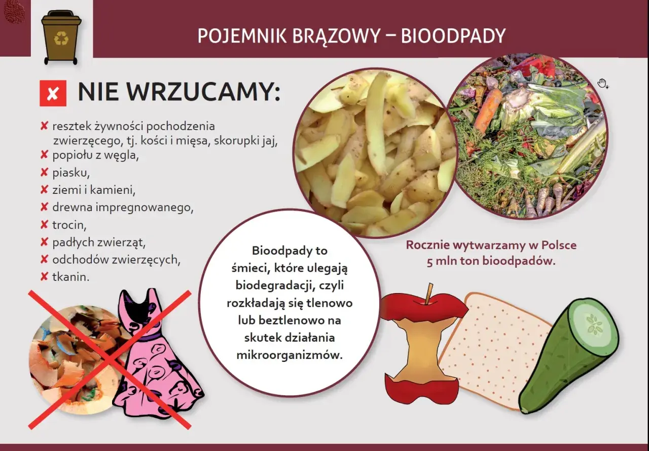 Co wrzucamy do brązowego pojemnika? Resztki jedzenia, obierki, warzywa, owoce. Unikaj popiołu, ziemi, tkanin.